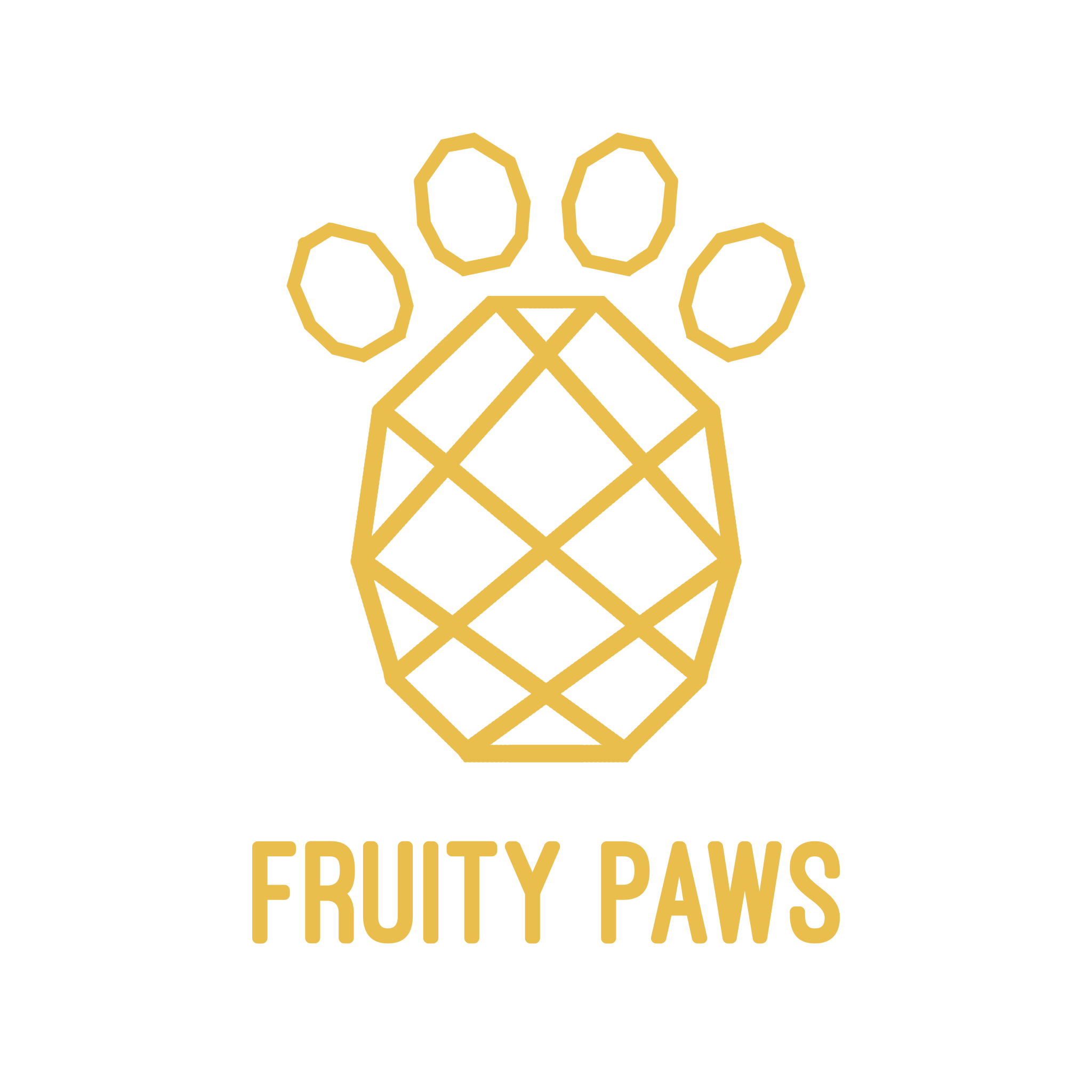 Logo firmy Smycze i obroże dla psów | Sklep internetowy Fruity Paws